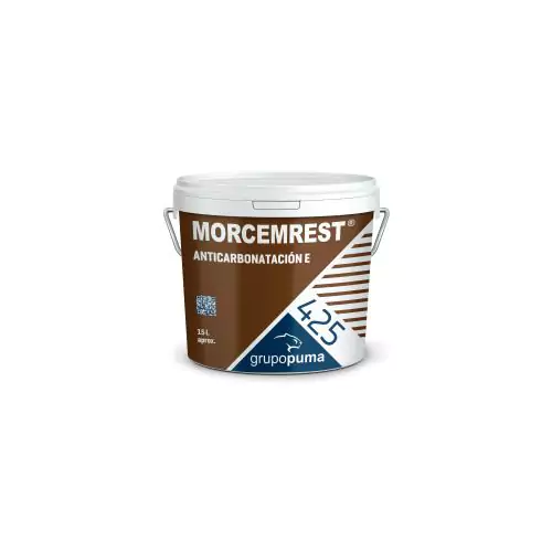 MORCEMREST ANTICARBONATACION E 20 Kg Gris Ral 7032